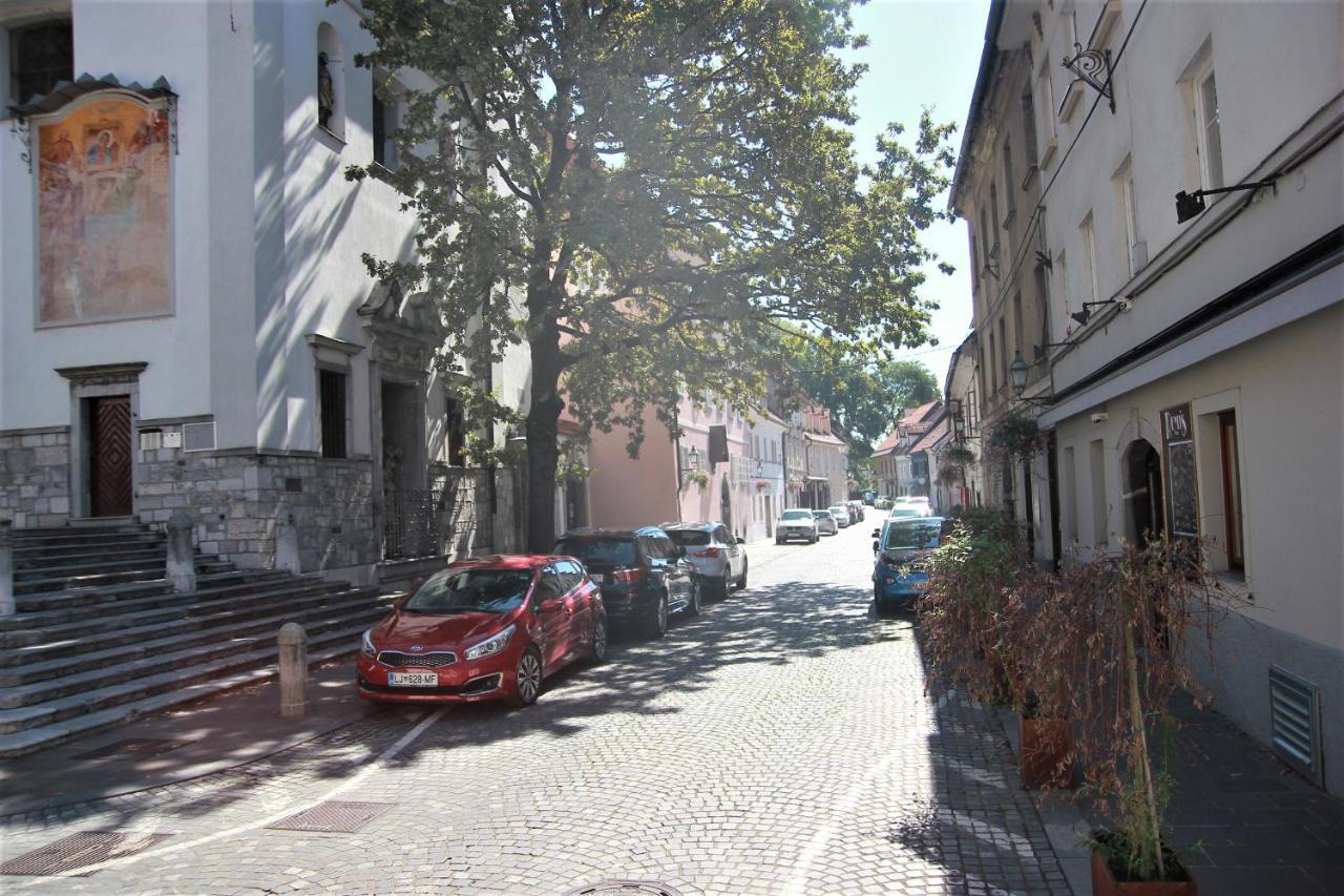 Pink House Studio Ljubljana Ngoại thất bức ảnh