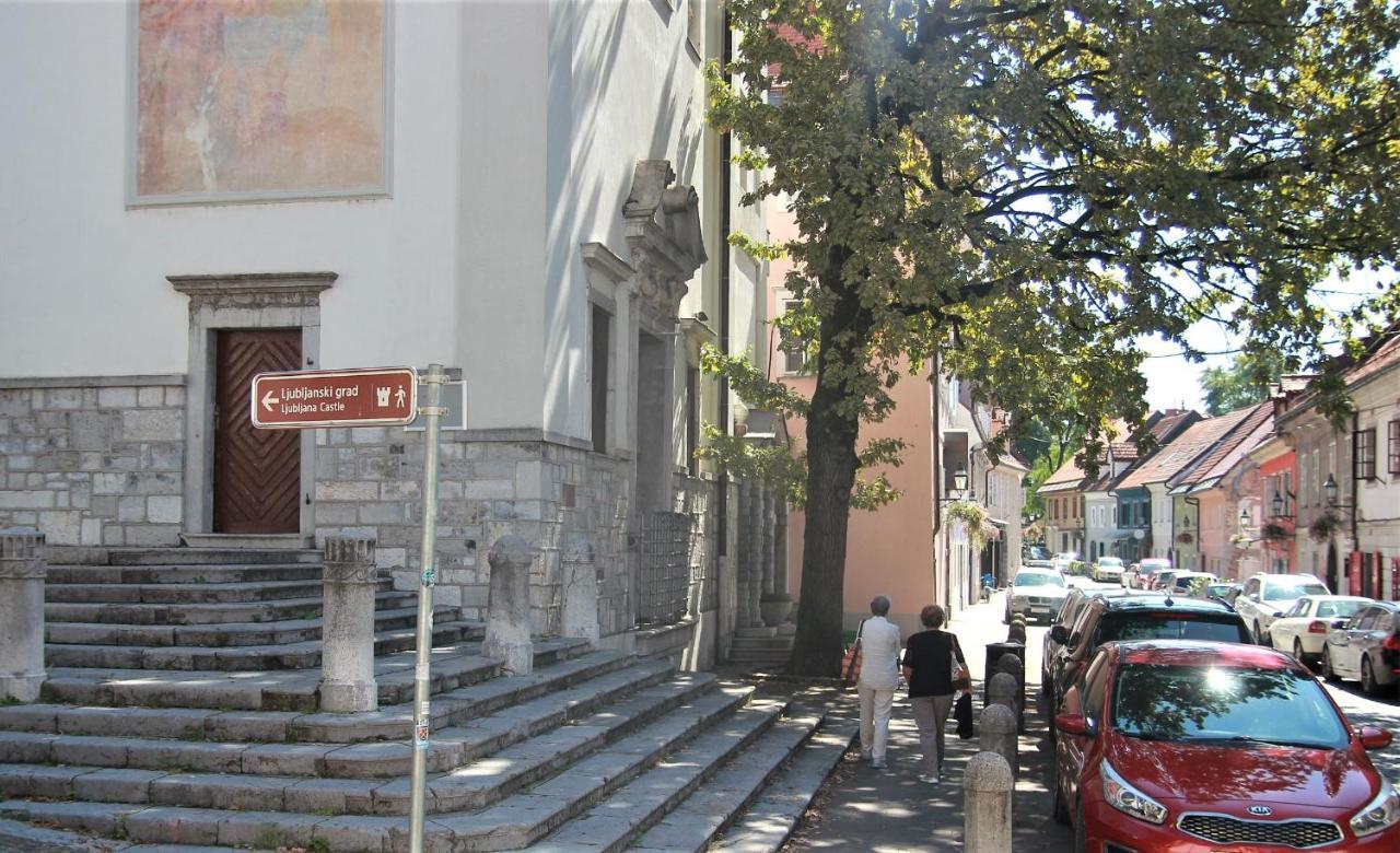 Pink House Studio Ljubljana Ngoại thất bức ảnh